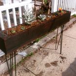 Wooden Succulent Containers 1 small