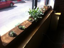 Wooden Succulent Containers 4 small