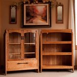 Bookcase And Display Case 1 small
