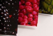 Custom Proposal Packaging 2 small