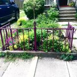 Garden Fence 1 small