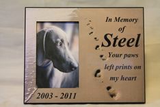 Pet Memorial Frames 6 small