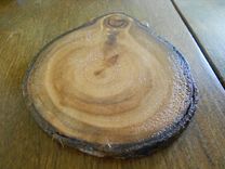 Coasters, Colorado Aspen Wood Coaster Set Of 6 3 small