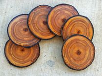 Coasters, Gift Wrapped Colorado Aspen Wood Coasters - Set Of 6 2 small