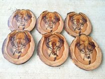 Custom Hand Burned Colorado Aspen Coasters 2 small