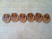 Custom Hand Burned Colorado Aspen Coasters 3 small