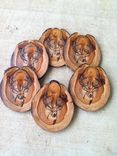 Custom Hand Burned Colorado Aspen Coasters 1 small