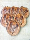 Custom Hand Burned Colorado Aspen Coasters 5 small