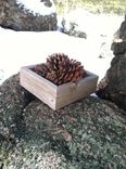 Reclaimed Barnwood Boxes 4 small