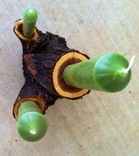 Texas Mesquite Candle Holder - Very Unique 2 small