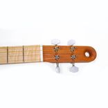 Jaime Garcia F-Hole Tenor Guitar 6 small