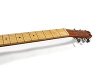Berger Argenti 6-String Guitar 5 small