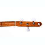 "Victor Records" 3-String Dulcitar 6 small