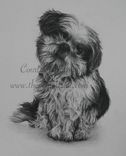Portrait Of Your Pet And/Or Family Member 1 small