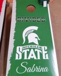 Cornhole Boards (Corn Toss) Games ! 3 small