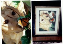 Zoie A Pet Portrait 1 small