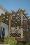 Pergola 4 small