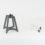 Cage Light Task 2 small