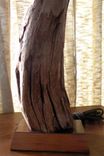 Natural Driftwood Lamps 5 small