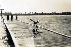Vintage Restored Photographs Of South Walton, Florida, And Other Areas. 3 small