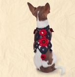 Cotton Lace And Beads Work Body Accessory For Doggie 1 small