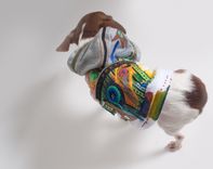 Applique , Embroidery And Hand Paint Doggie Parka 1 small