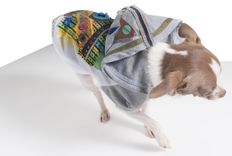 Applique , Embroidery And Hand Paint Doggie Parka 2 small