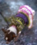 Knit Dress With Big Bow And Petticoat 2 small
