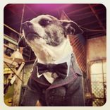 Grey Wool Check And Pink Stitch Boy's Tailored Jacket And Collar And Bow Tie 1 small