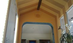 Interior Decorative Painting, Ceiling 3 small