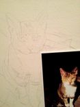 Small Pet Portrait, 2 small