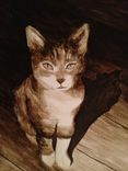 Small Pet Portrait, 3 small