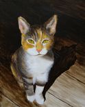 Small Pet Portrait, 1 small
