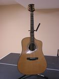 Custom Dreadnought Cut-Away 1 small