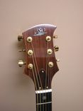 Custom Dreadnought Cut-Away 2 small