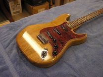 Strat-Style Electric 1 small