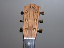 Orchestra Model, Cutaway 3 small