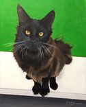 Original Jason M Silverman Animal Portrait Paintings In Oil & Watercolor 5 small