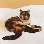 Original Jason M Silverman Animal Portrait Paintings In Oil & Watercolor 3 small