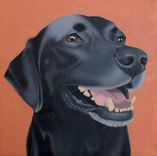 Original Jason M Silverman Animal Portrait Paintings In Oil & Watercolor 2 small