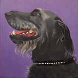 Original Jason M Silverman Animal Portrait Paintings In Oil & Watercolor 1 small