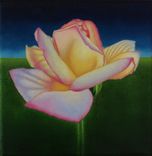 Original Jason M Silverman Flower Or Floral Paintings In Oil 3 small