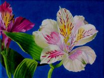 Original Jason M Silverman Flower Or Floral Paintings In Oil 2 small