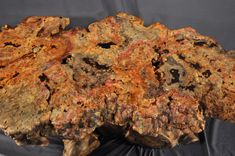 Buckeye Coffee Table 2 small