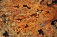 Buckeye Coffee Table 5 small