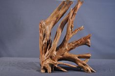 Driftwood Table Lamp 2 small