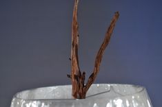 Driftwood Table Lamp 3 small