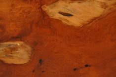 Redwood Burl Coffee Table 5 small