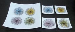 Floral Bursts- Fused Glass Plate Set 1 small