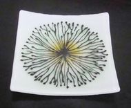 Floral Bursts- Fused Glass Plate Set 2 small